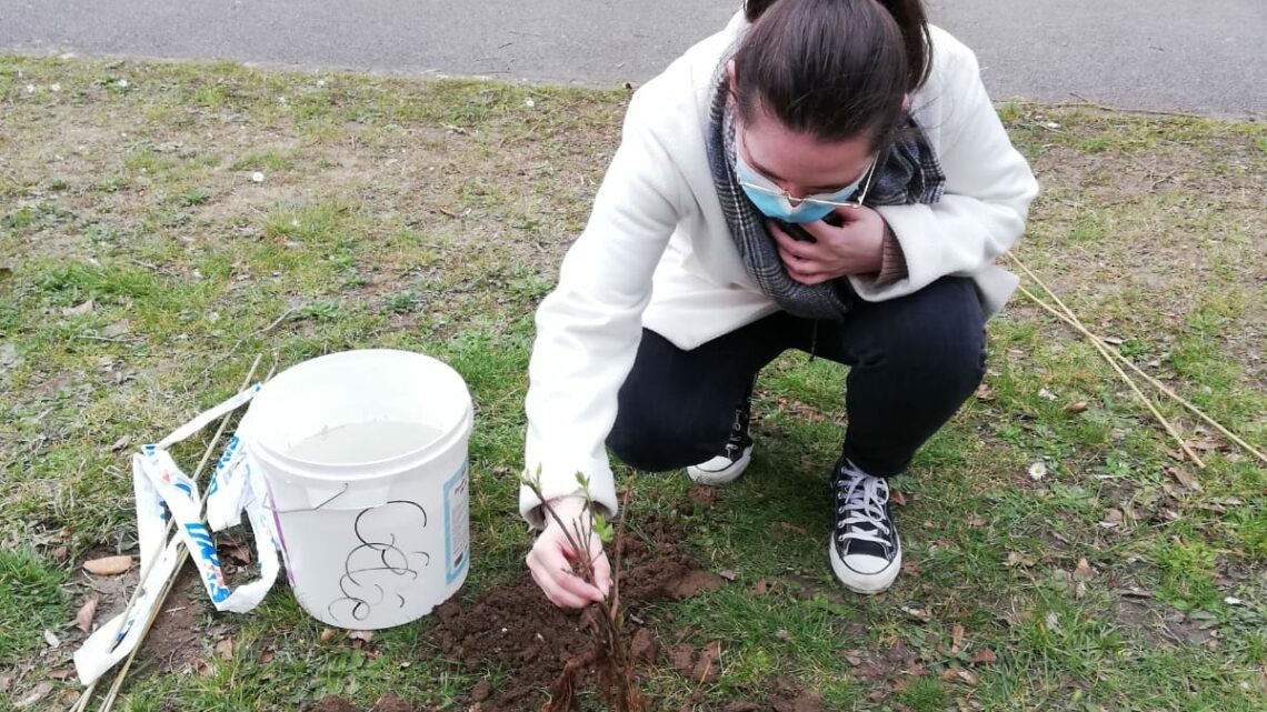 ACTION: « La forêt s&rsquo;invite à l&rsquo;Ecole »