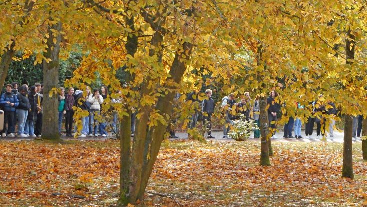 Lutte contre le harcèlement