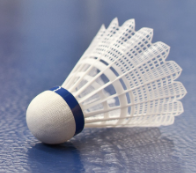 TOURNOI DE BADMINTON AU LPA